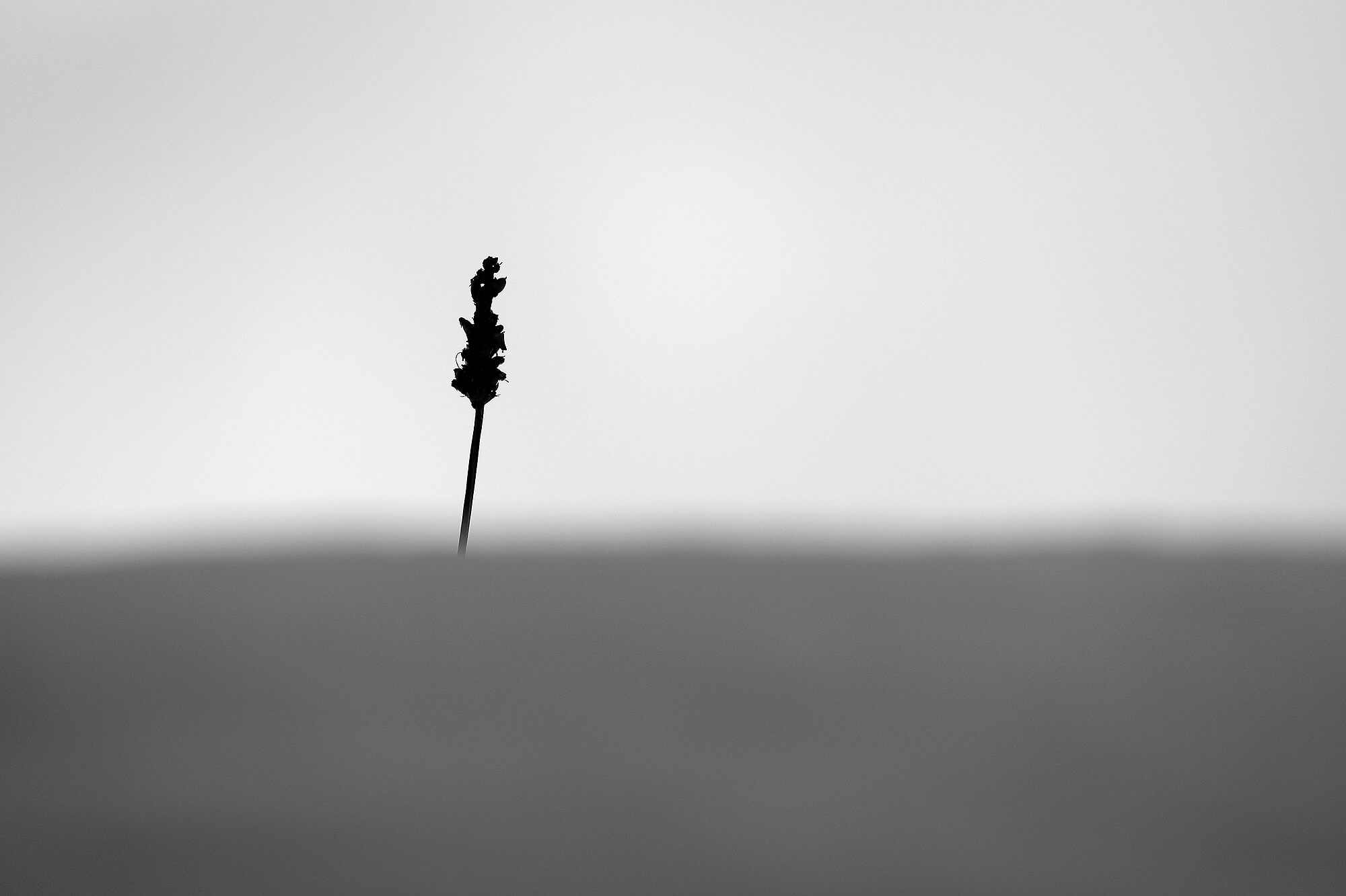 Werk 1 Minimalistische Fotografie 1