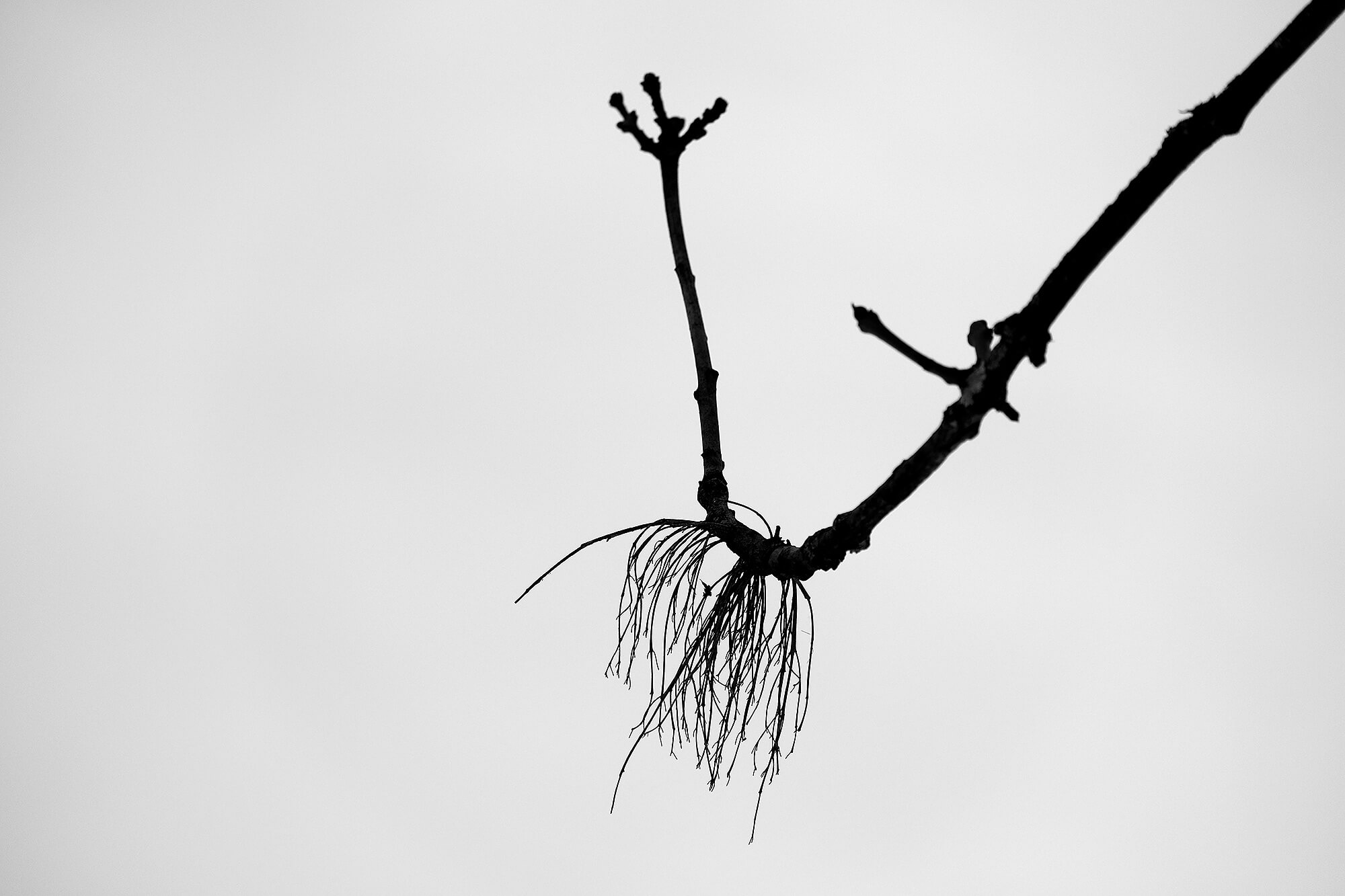 Werk 1 Minimalistische Fotografie 2