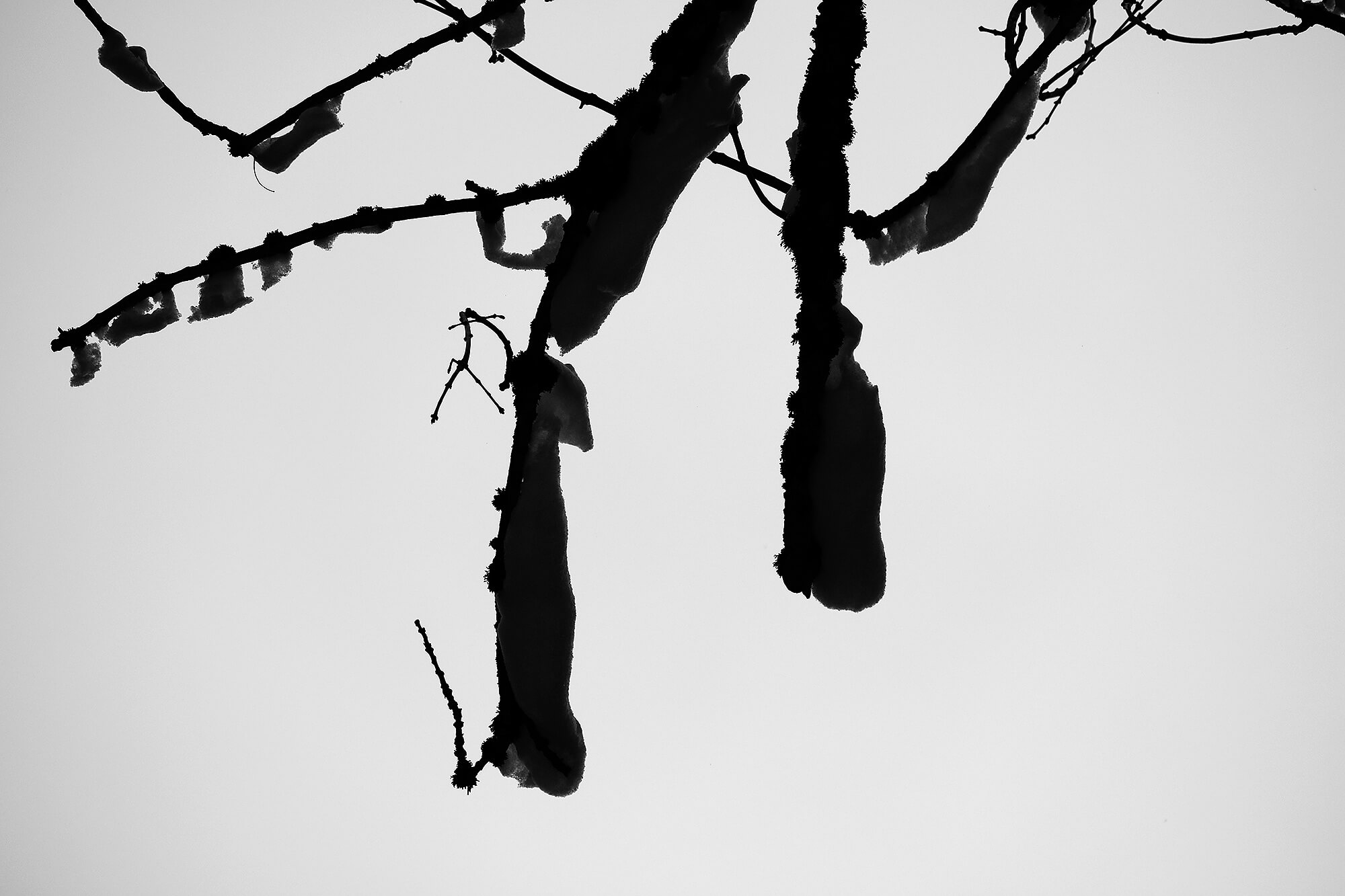 Werk 1 Minimalistische Fotografie 4