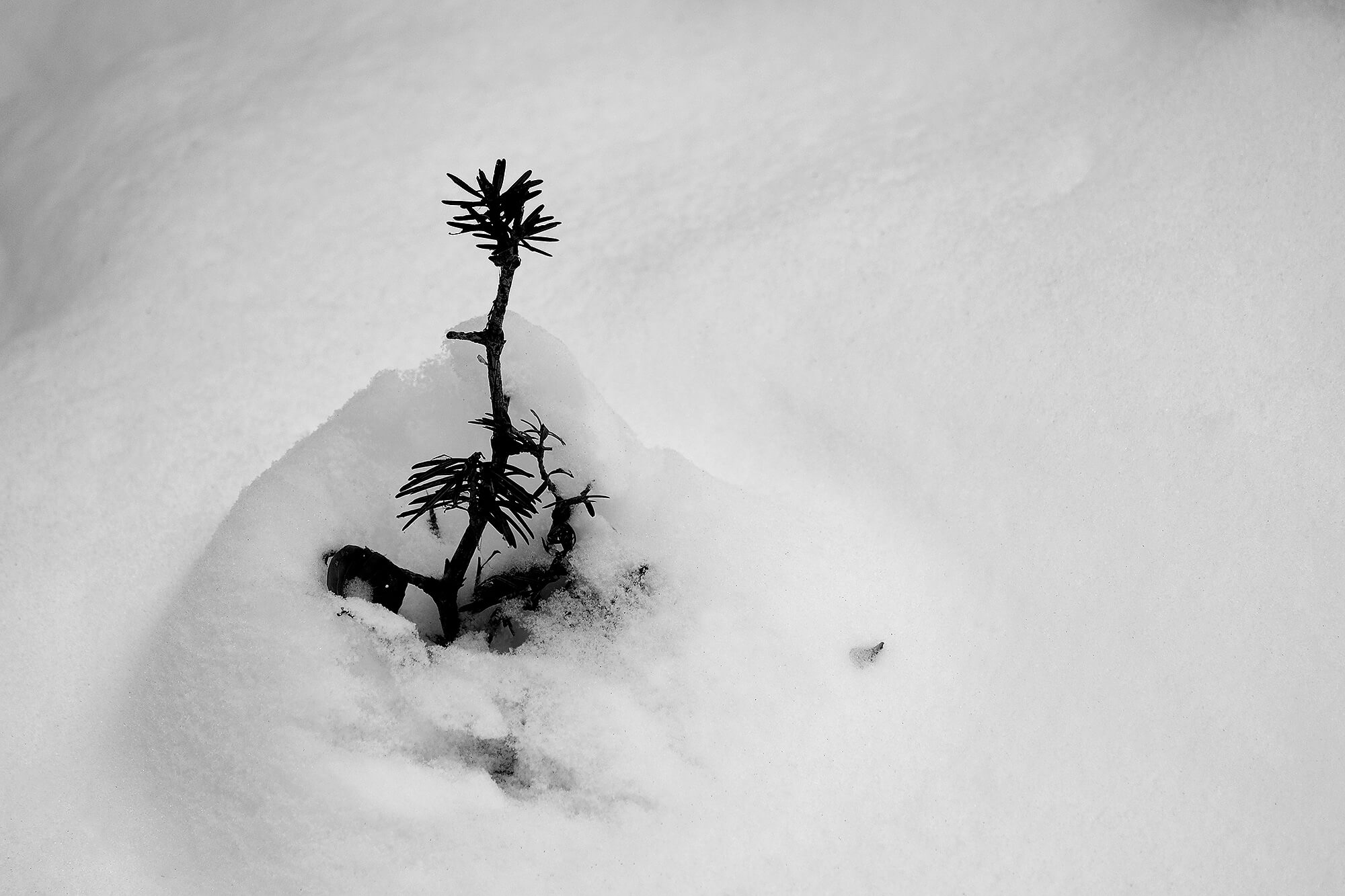 Werk 1 Minimalistische Fotografie 5