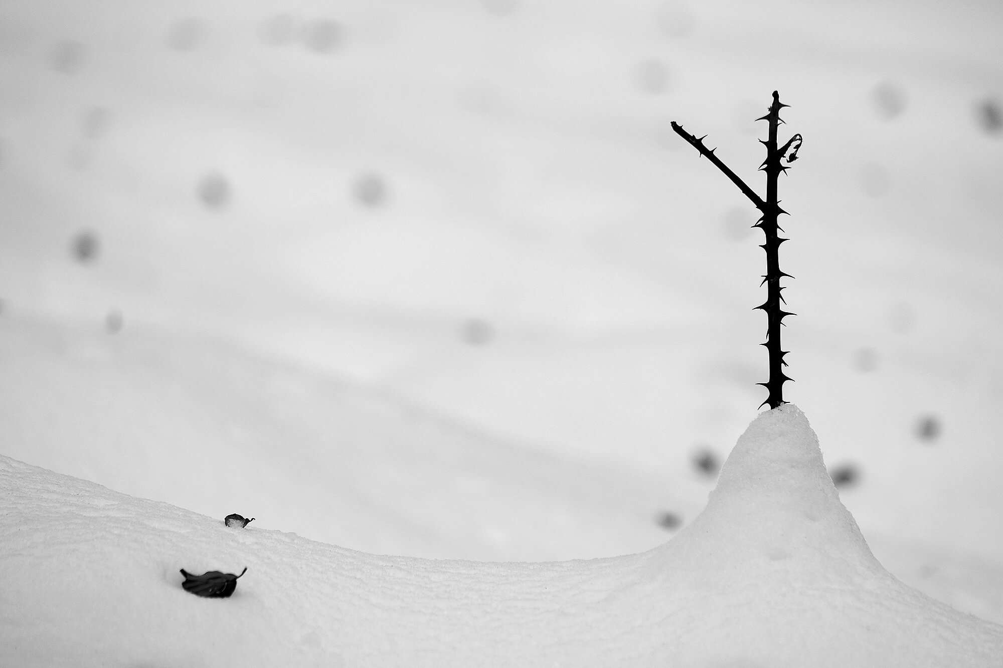 Werk 1 Minimalistische Fotografie 6